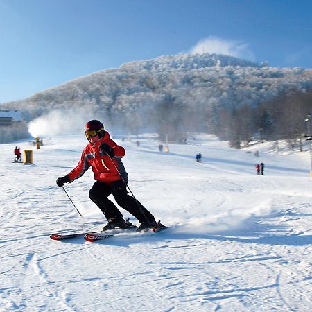 Dammschenke Gasthof & Hotel Курорт Юнсдорф Екстериор снимка