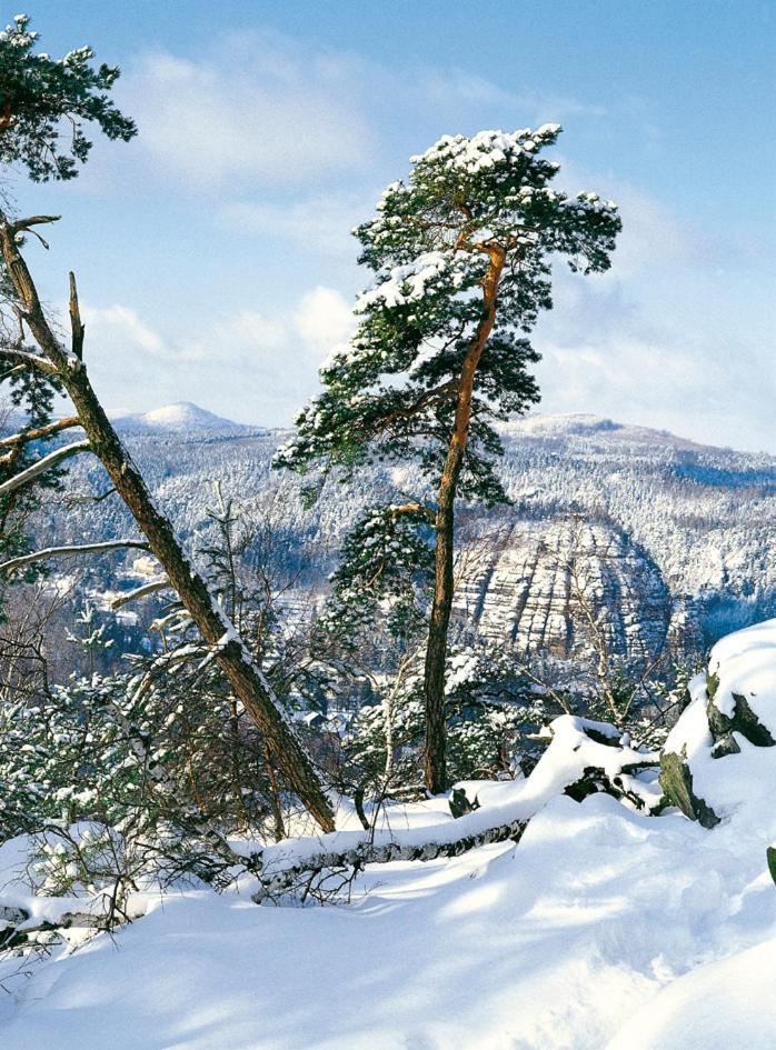 Dammschenke Gasthof & Hotel Курорт Юнсдорф Екстериор снимка